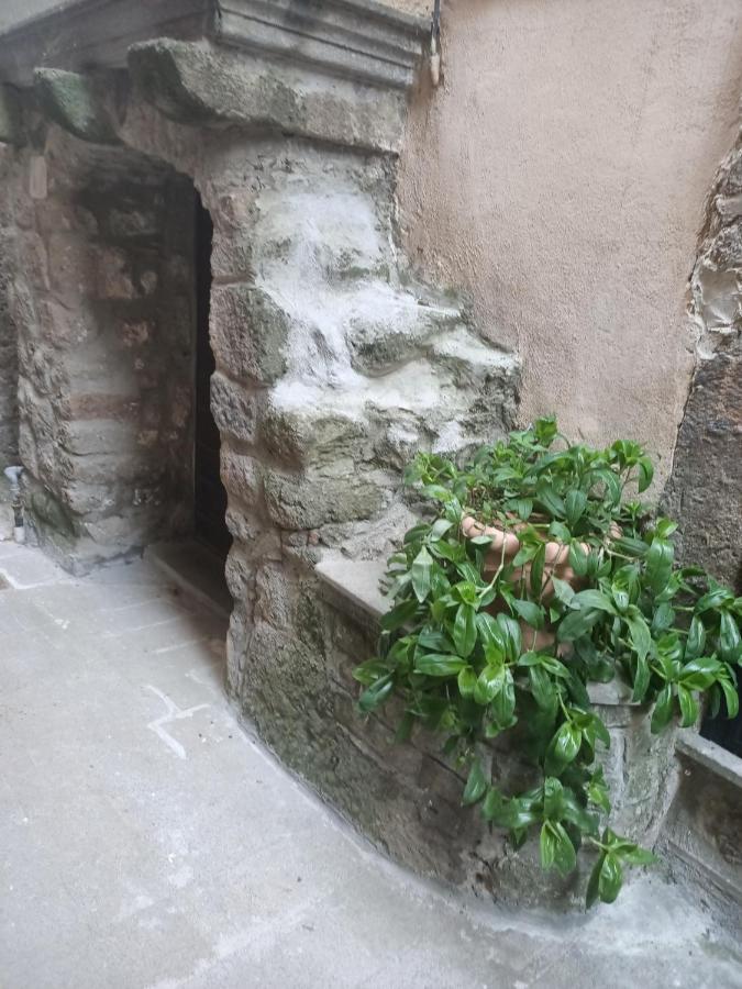 Casa Nella Roccia Villa Bomarzo Kültér fotó
